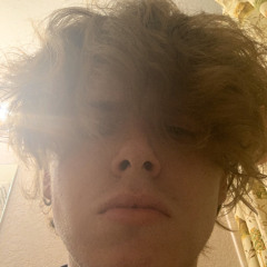 killDylan Archive