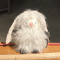 charlieson