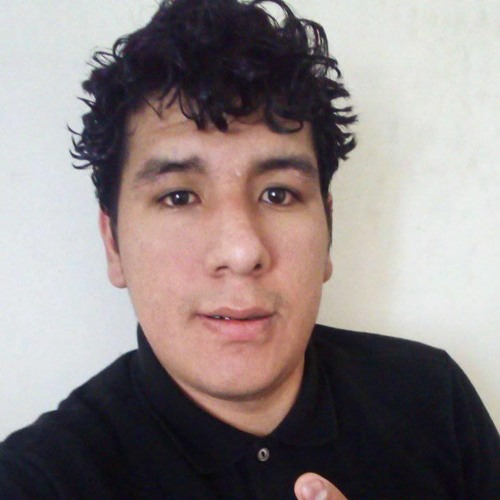Eduardo Ramos Miranda’s avatar