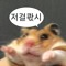 배경나