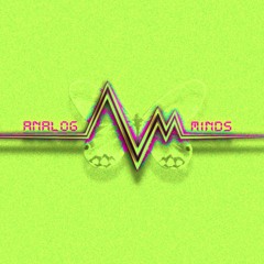 Analog Minds