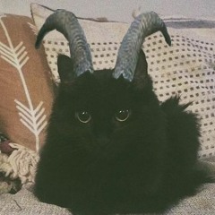 avalon