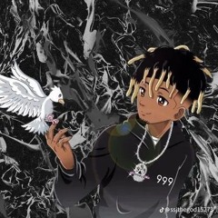 Rocky3.0yt