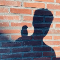 lauwerenss