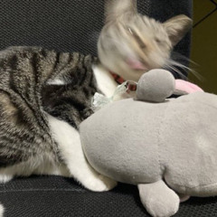 ふろと