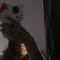 quilla