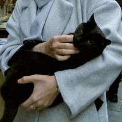 Dorotea