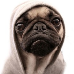 александр951