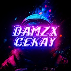 Damzxcekay - MSH Team