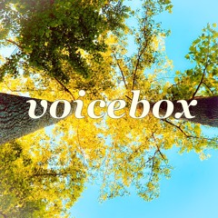 voicebox