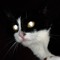 Chris.Ru