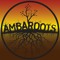 Ambaroots