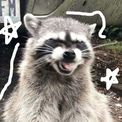 racoon4lif3