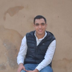 Ahmed Basha