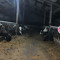 Tractorlad38