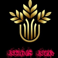 Noris_ntg