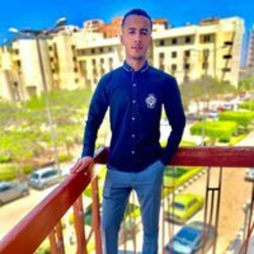 Nasser Rizk ELegely’s avatar