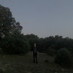 Sfanson