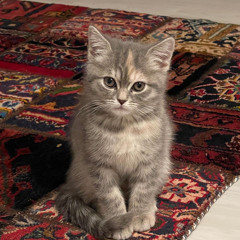 mashael