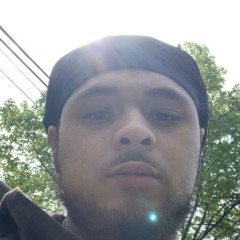 Rambo 77