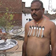 MAJEEF