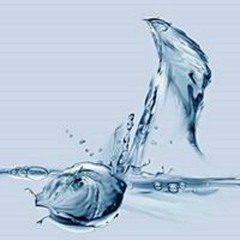 TheLight OI - Composer