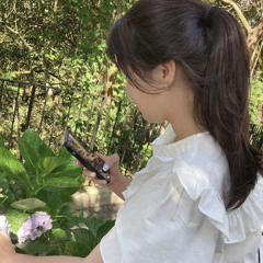 Hà Vy