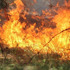 unkonvetionel protuktiones