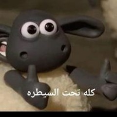 Shrouk Hassan