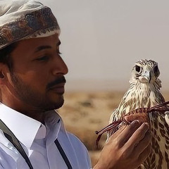 alahbabi_vv