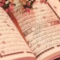 احمد عبده