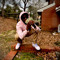 803jaxkboy