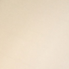 ari06