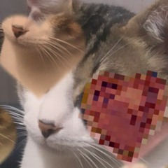 ☕︎ 𝚙𝚊𝚛𝚒𝚡𝚜 ☕︎