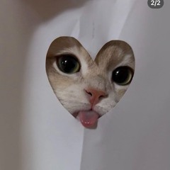byelesli