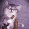 Ikeamaster_38