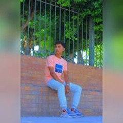 Ahmed M. Attya