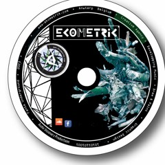 Ecometrik