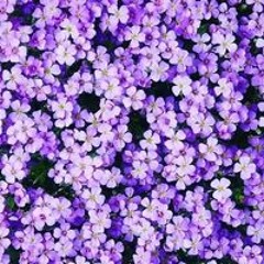 رمضان على رمضان على