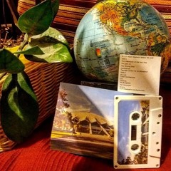 Adam Majdecki-Janicki