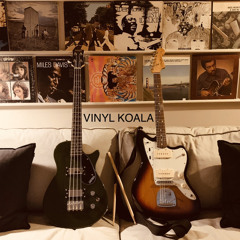 Vinyl Koala