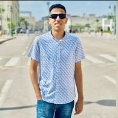 محمد احمد الجندى