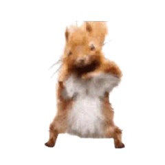 sam