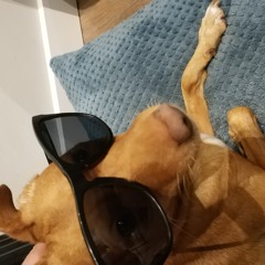 oscarjevi
