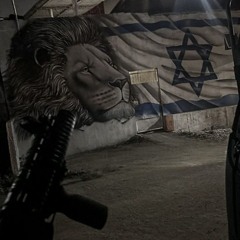 TS 🇮🇱