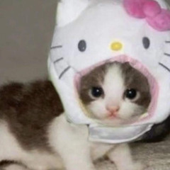 bubblecat
