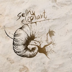 Selky