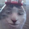 🗿🗿
