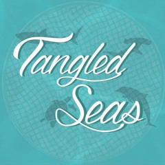 Tangled Seas