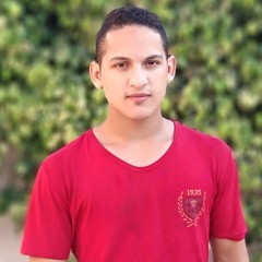 Ana Abdo